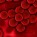 Complete Blood Count