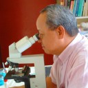 Gene Expression Profile Of Systemic Mastocytosis Identified