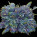 Leukotriene Antagonists